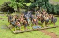Photo of Irish Warband (BOX15)
