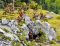 Photo of Indian Warband Deal (WIDEAL)