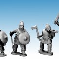 Photo of Saxon Commanders (AFS007)