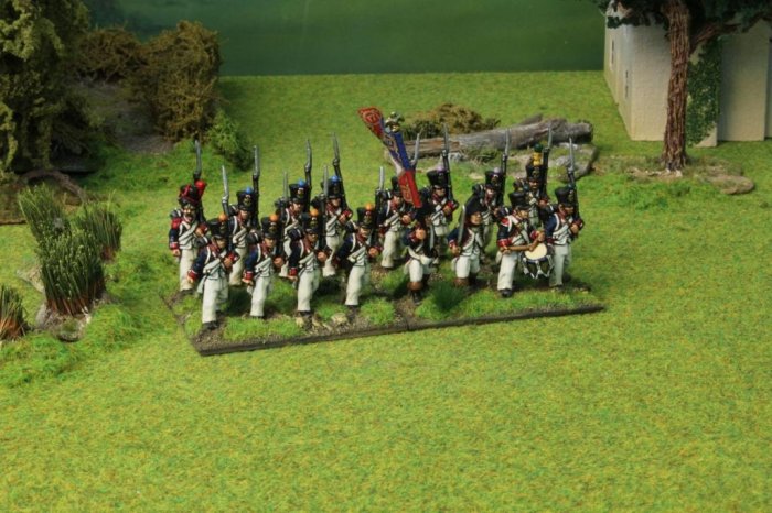 French Napoleonic Infantry Deal