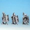 Photo of Dwarf Warriors with hand Weapons & Shields (DW01)