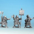 Photo of Dwarf Warrior Command (DW04)