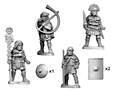 Photo of Early Imperial Roman Legionary Command (RFA032)