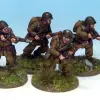 Photo of Polish Riflemen (WWP001)