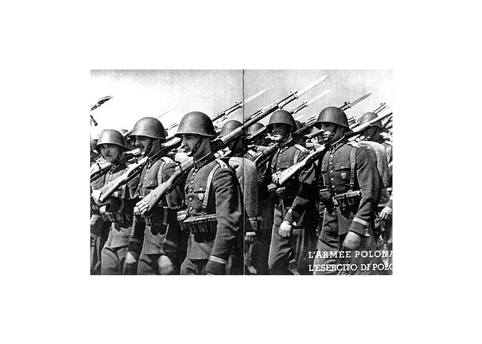 Polish Command