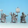 Photo of Dwarf Warrior Command (DW04)