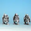 Photo of Dwarf Rangers (DW10)