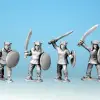 Photo of Tiger Men with Swords & Shields (BTM002)