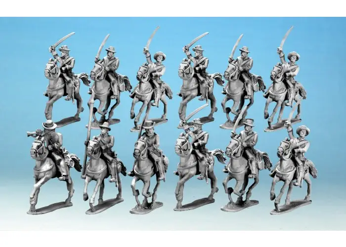 Confederate Cavalry Regiment.