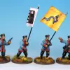 Photo of Imperial Chinese Command Advancing (BIC006)