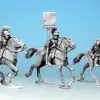Photo of Republican Roman Cavalry in Mail - Command (ANR013)
