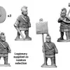 Photo of Late Roman Legionary Command (RFA002)
