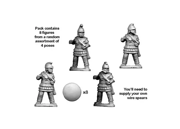 Eastern Phalangite