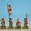Photo of British Infantry Command (RFH002)