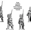 Photo of Napoleonic French - Grenadier Company in Bearskins (RFH023)