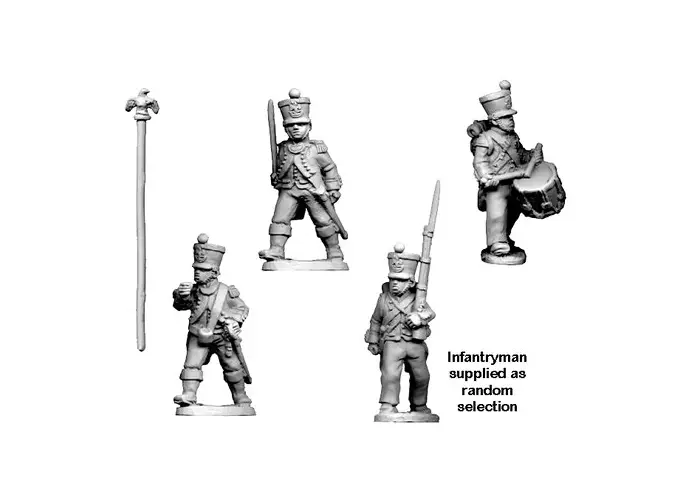 Napoleonic French - Command in Shako