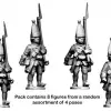 Photo of British Grenadiers (RFH003)