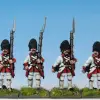 Photo of French Grenadiers (RFH013)